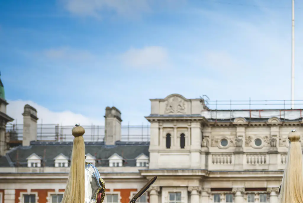 Video shows American tourist begging for help as King's Guard horse suddenly lashes out