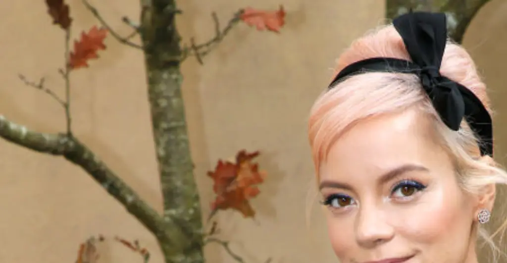 Lily Allen says she wants to be buried with her phone to hide her 'dark' p*rn search history