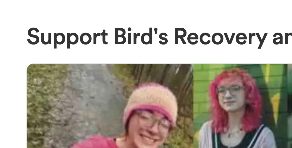 Credit: GoFundMe