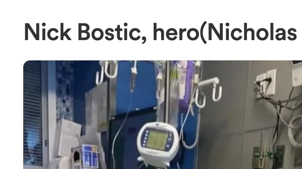 Credit: GoFundMe
