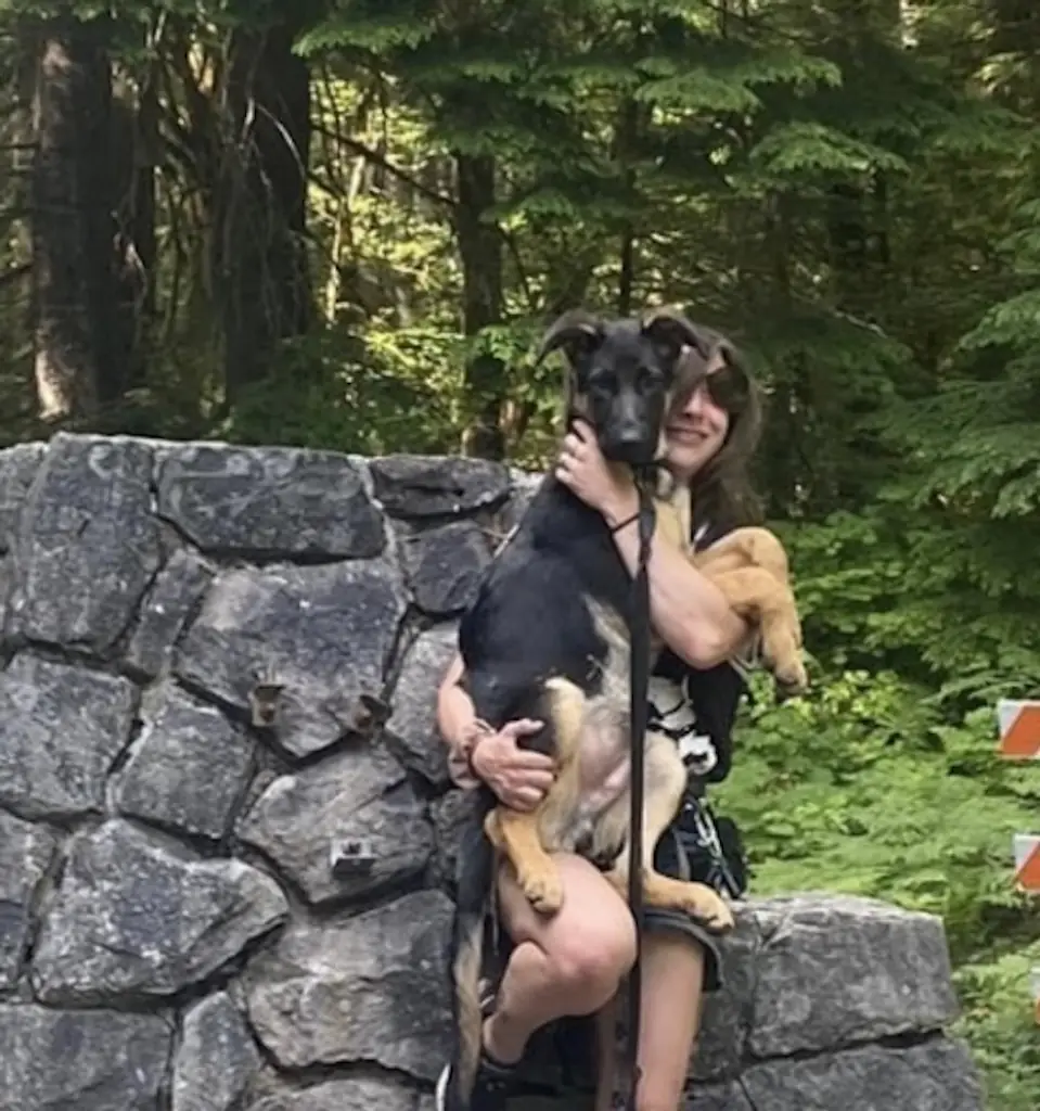 Drummond was living in a van with her dog at the time of the accident. Credit: GoFundMe