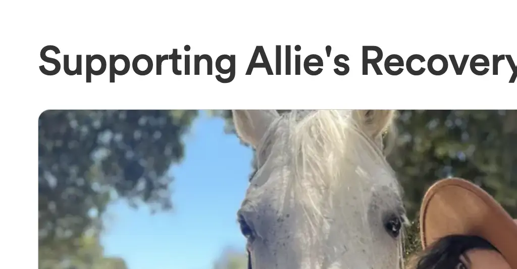 Credit: GoFundMe
