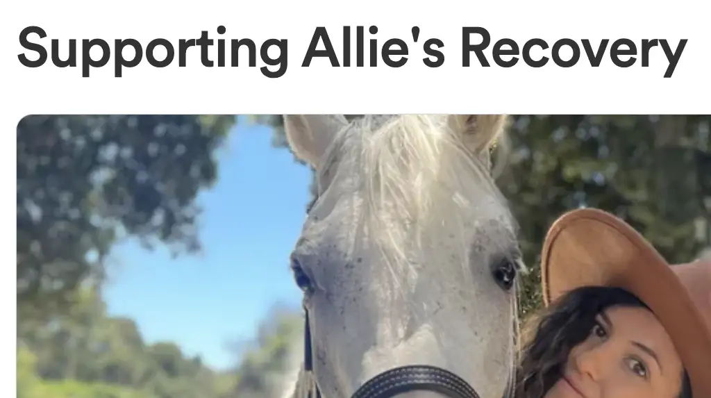 Credit: GoFundMe
