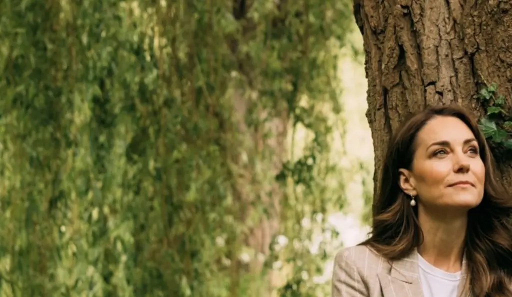 Princess Catherine provides update amid cancer battle: 'Not out of the woods yet'