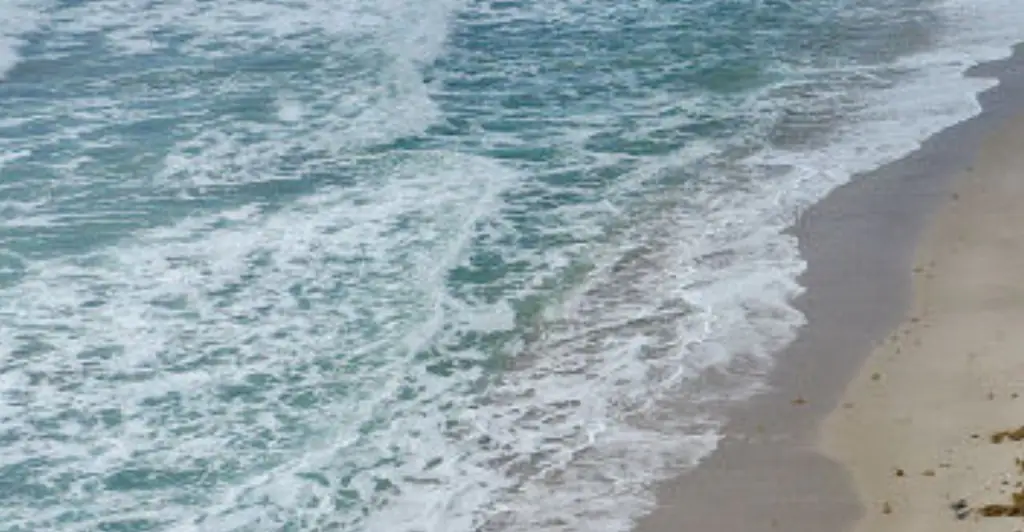 Man scouring Florida beach for turtle nests accidentally finds $4 million of cocaine instead