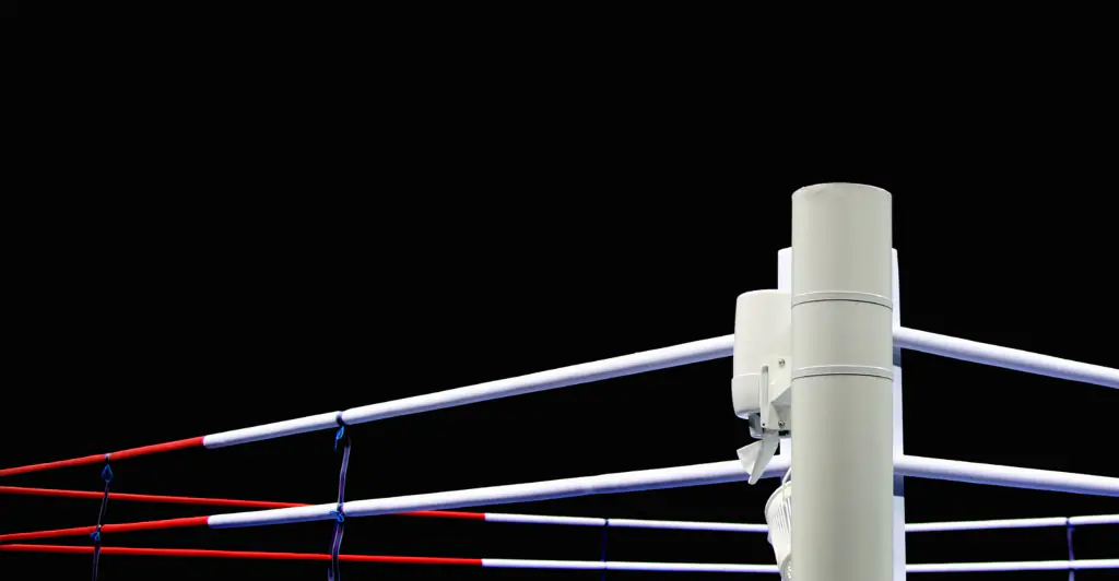 Professional boxer dies after collapsing in front of horrified crowd during his debut fight