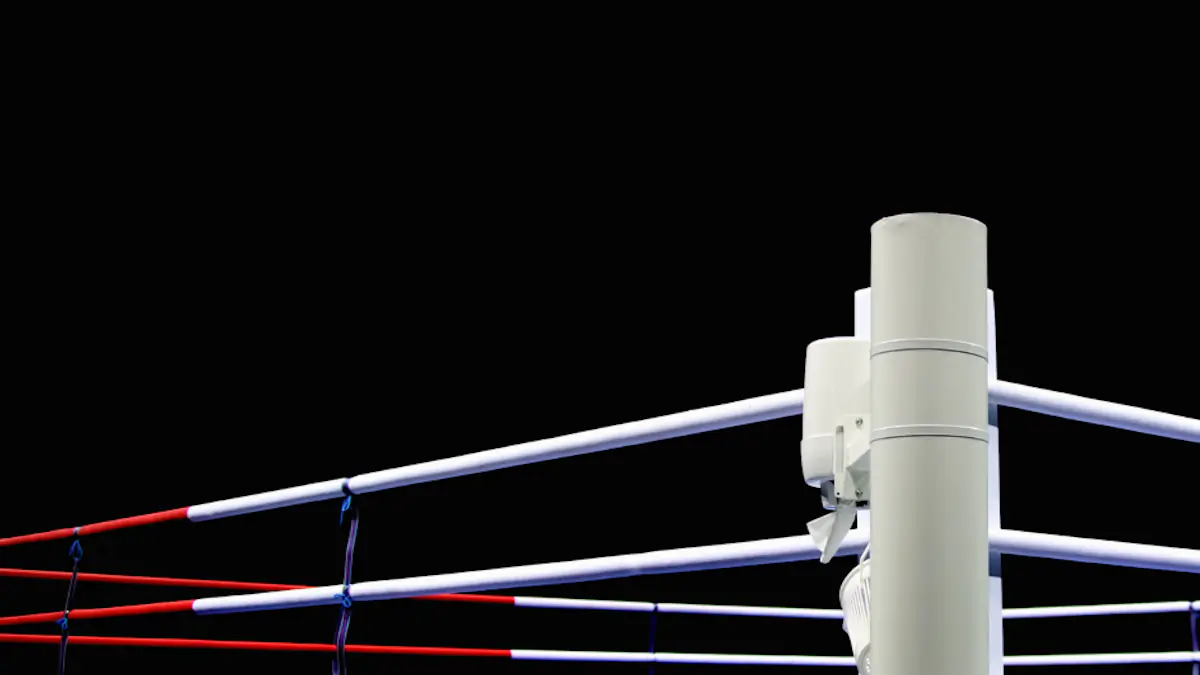 Professional boxer dies after collapsing in front of horrified crowd ...
