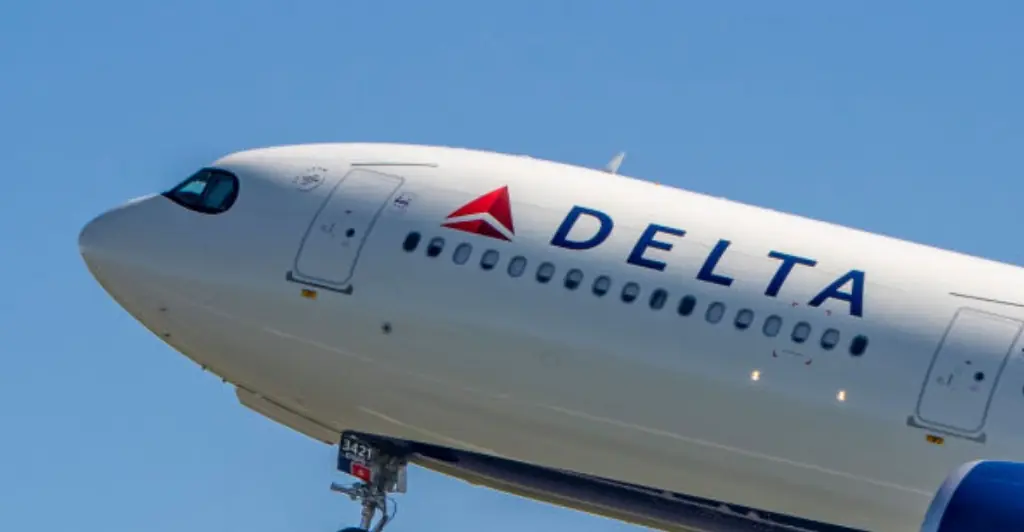Angry passenger's 'petty' revenge on Delta for not compensating their delays leaves people divided