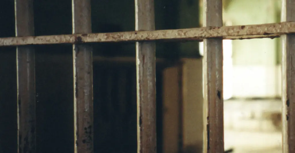 Family of man held captive in neighbor's basement for 27 years speaks out following his rescue