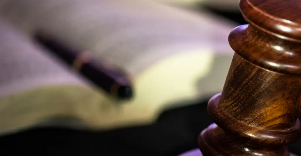 California judge's chilling rant to police after allegedly shooting his wife dead is revealed as he faces court