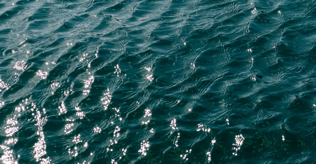 Heartbreaking last words of teen who drowned after his brothers dared him to swim across lake