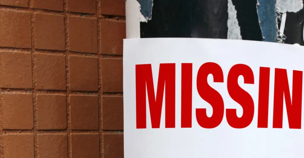 Boy, 17, missing for months from Michigan and feared dead randomly turns up on live stream in Florida