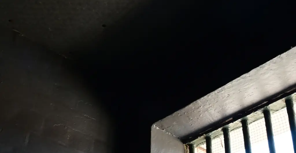 Video shows moment teen who vanished 26 years ago is rescued from neighbor's cellar just 200 yards from his home