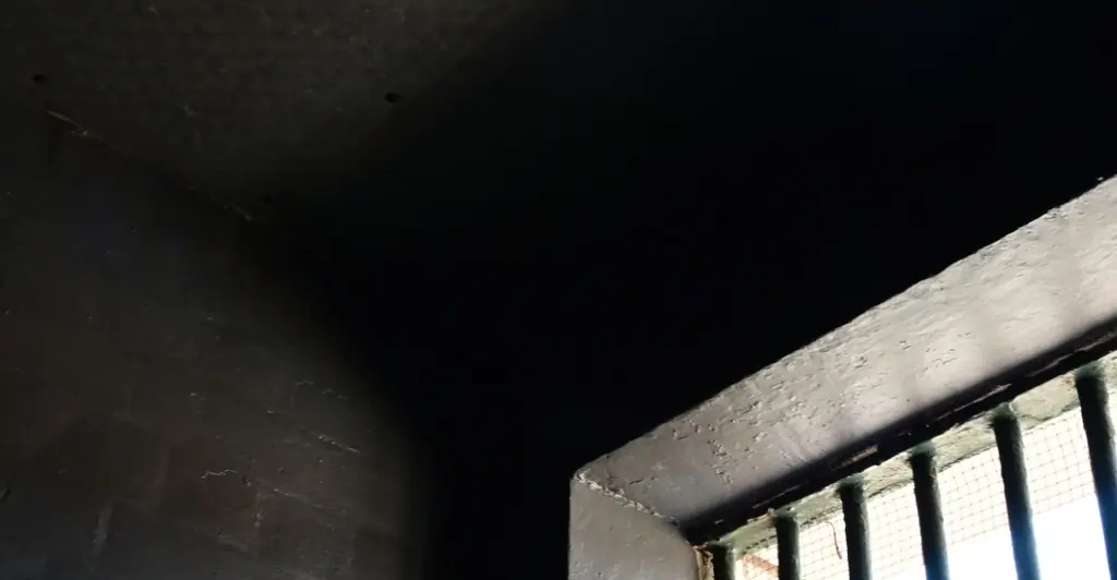 Video shows moment teen who vanished 26 years ago is rescued from neighbor's cellar just 200 yards from his home