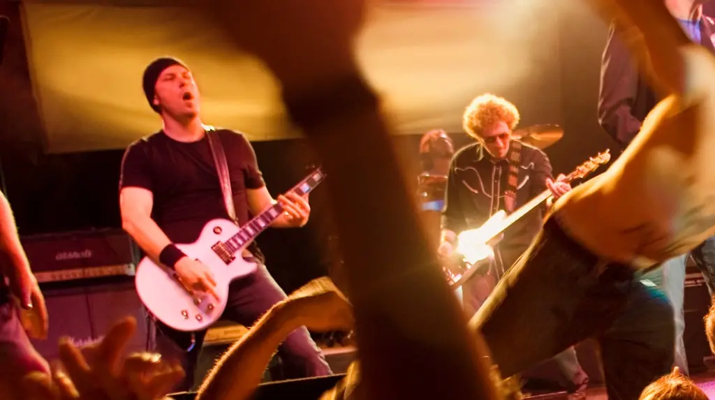 Concertgoer left partially paralyzed after punk-rock singer stage dives on top of her