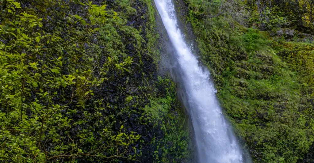 Teen hiker tragically records her own death after setting up phone to film river