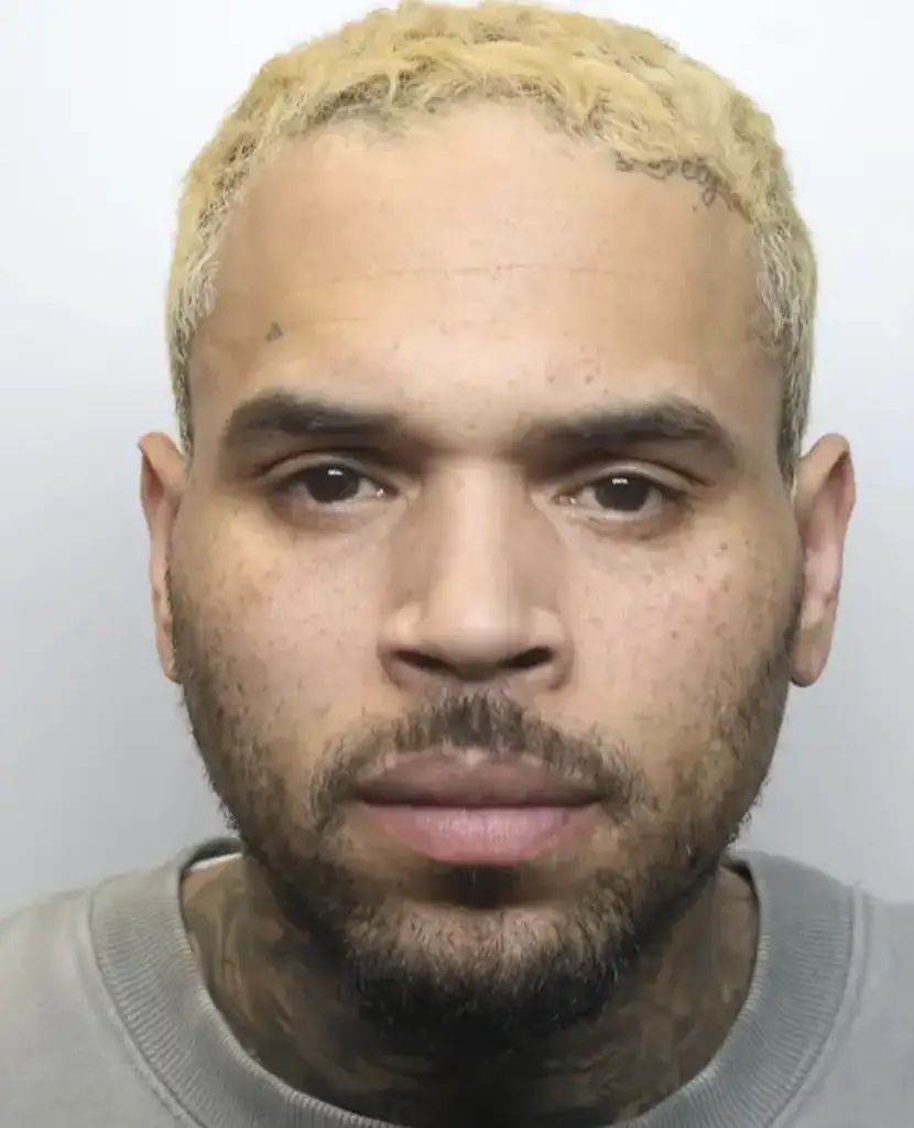 Chris Brown admitted affray and was sentenced today. Credit: Metropolitan Police