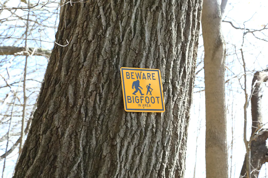 Bigfoot may have been disproved in a new documentary. Credit: Douglas Sacha/Getty