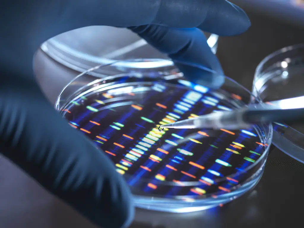 The CIA has been accused of secretly searching through DNA databases to find people who may have alien ancestry. Credit: Westend61 / Getty