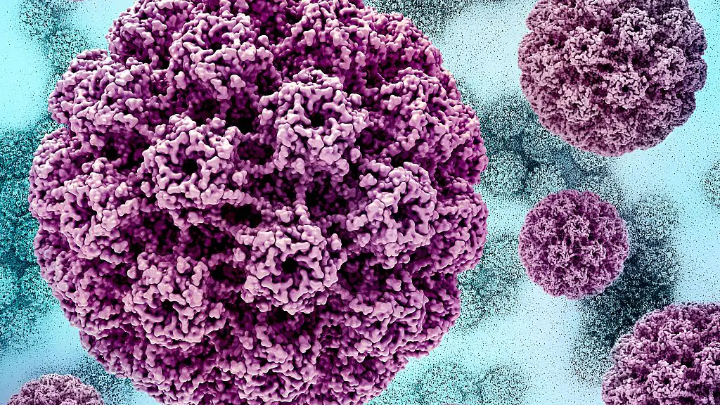 A virus, seen under a microscope. Credit: Getty