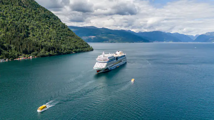 cruise