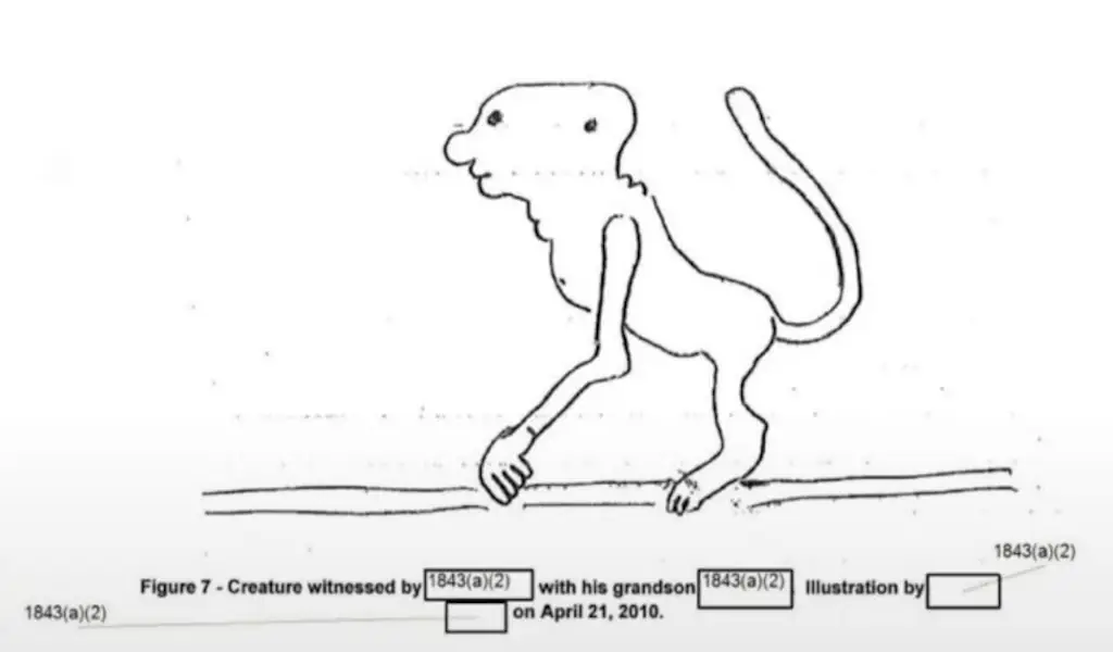 This drawing was released with the Skinwalker files. Credit: Pentagon