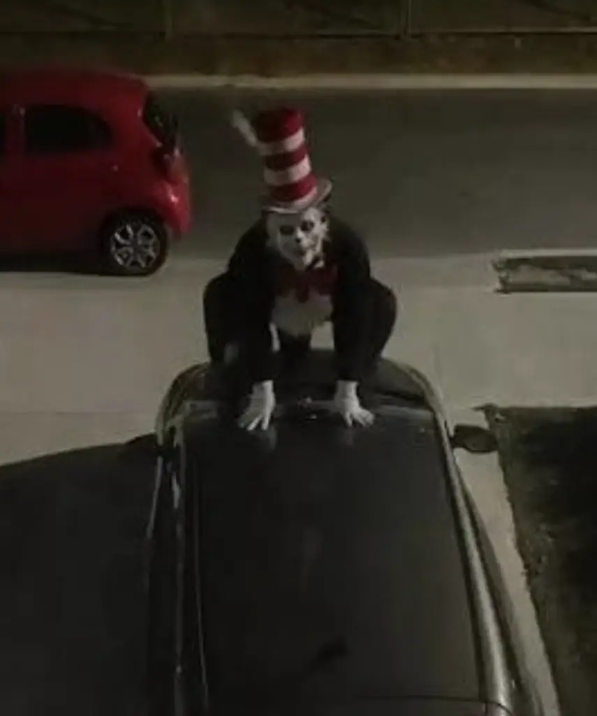 The Cat in the Hat trend has left US schools horrified. Credit: X