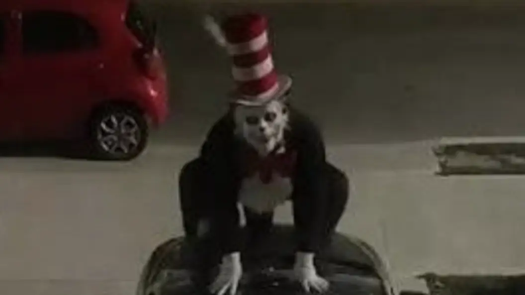 The Cat in the Hat trend has left US schools horrified. Credit: X