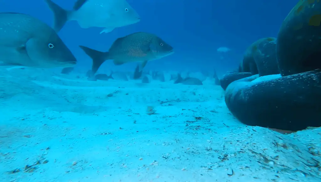 Viewers were shocked by what they saw from the GoPro footage. Credit: YouTube/Odysseas Froilan