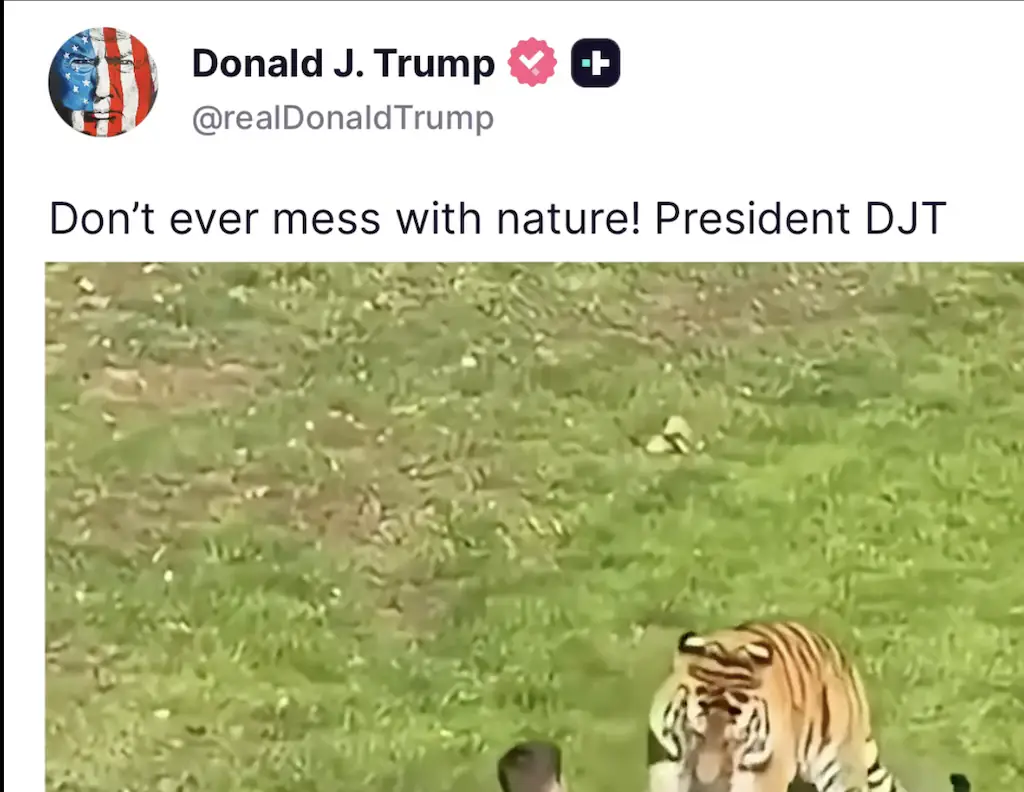 Trump shared the grim video on his social media. Credit: X