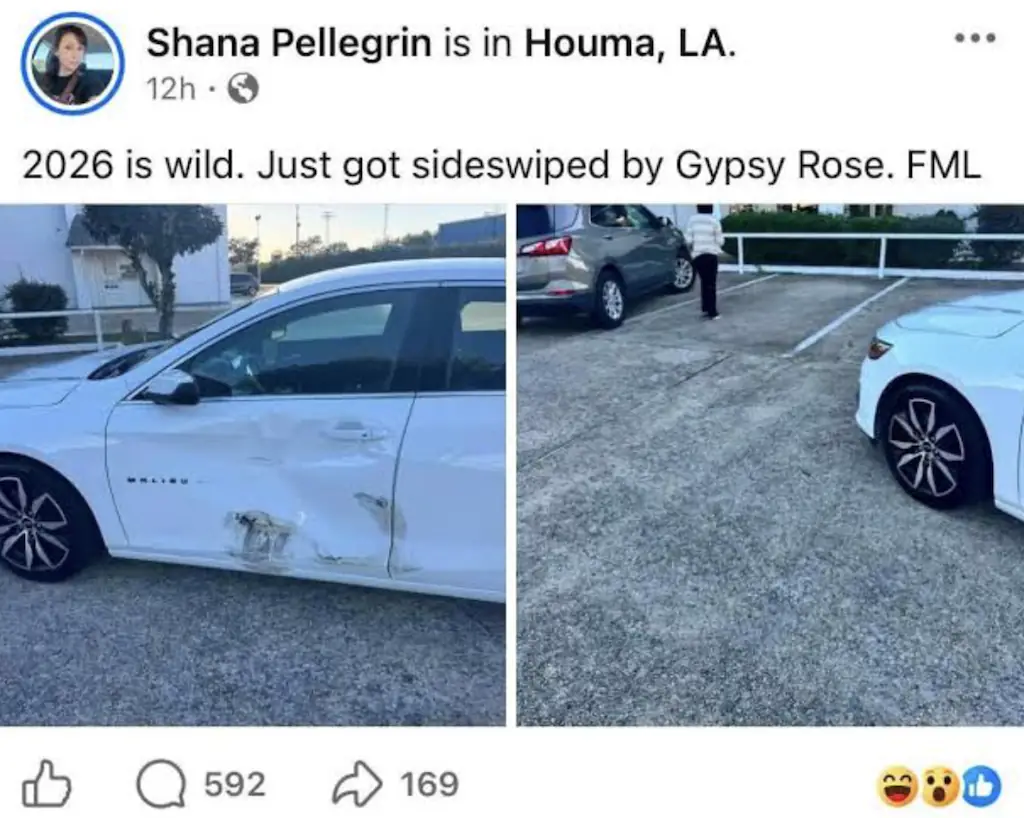 Shana Pellegrin's Facebook post about the crash. Credit: Facebook