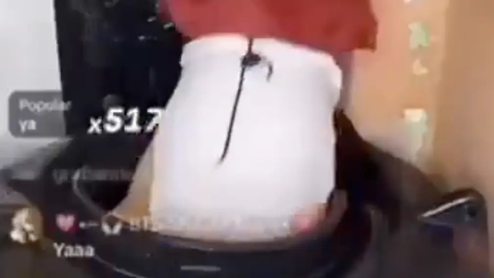 The TikToker worried viewers after seemingly drowning during a stunt. Credit: X