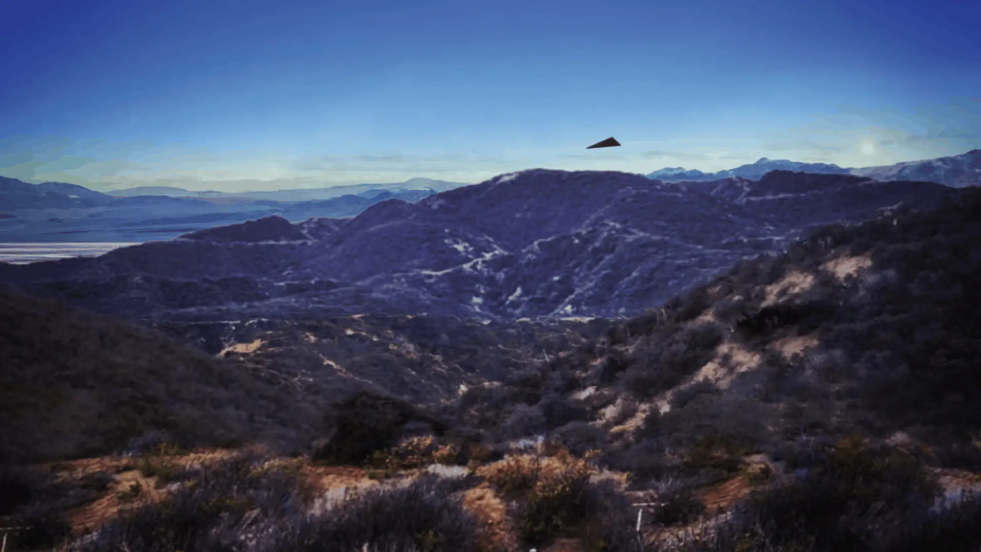 UFO Sighting