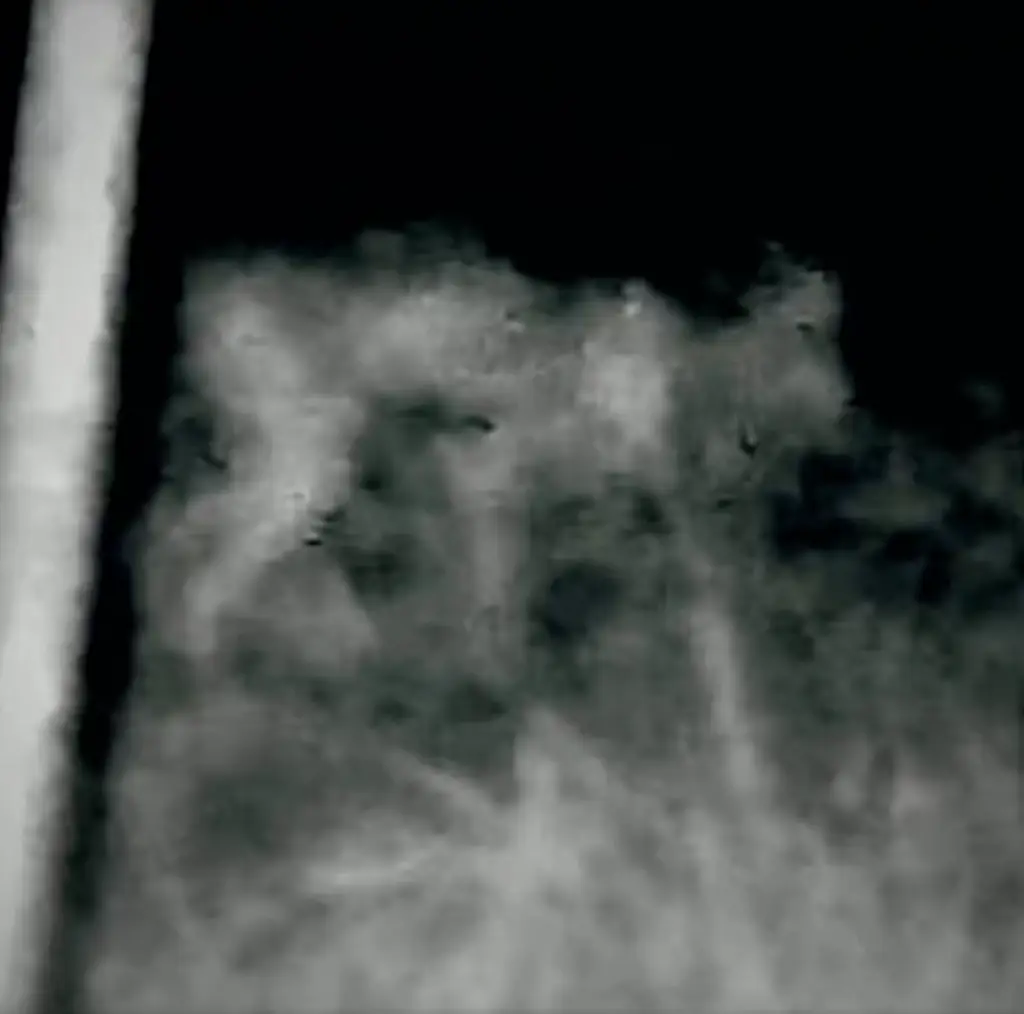 This picture claims to show a 'Skinwalker' roaming near Utah. Credit: Pentagon