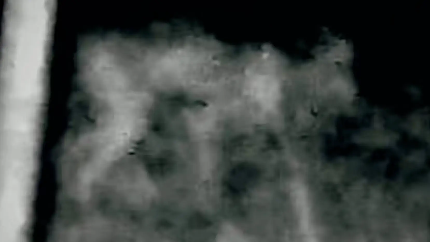 This picture claims to show a 'Skinwalker' roaming near Utah. Credit: Pentagon