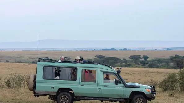 Kenya Safari