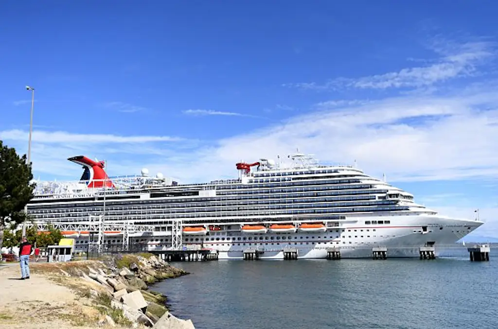 Thomas jumped from the 11th deck of the Carnival Cruise Panorama Ship. Credit: Brittany Murray/MediaNews Group/Long Beach Press-Telegram via Getty Images