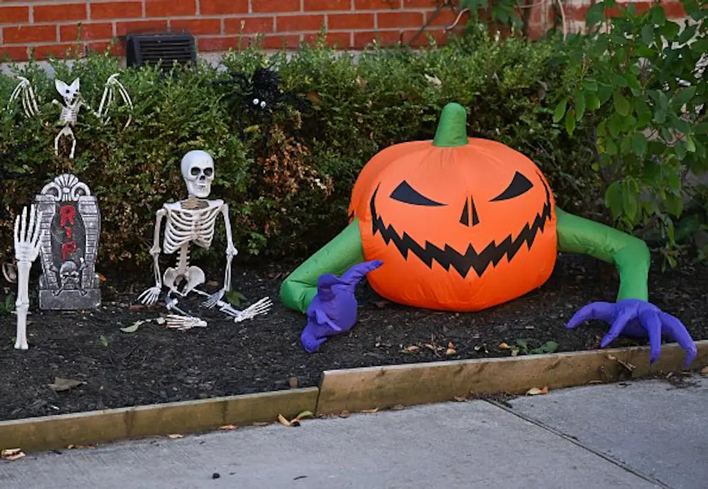 Alani reveals the most disturbing thing he's found at a haunted house. Credit: Graham Hughes/NurPhoto via Getty Images