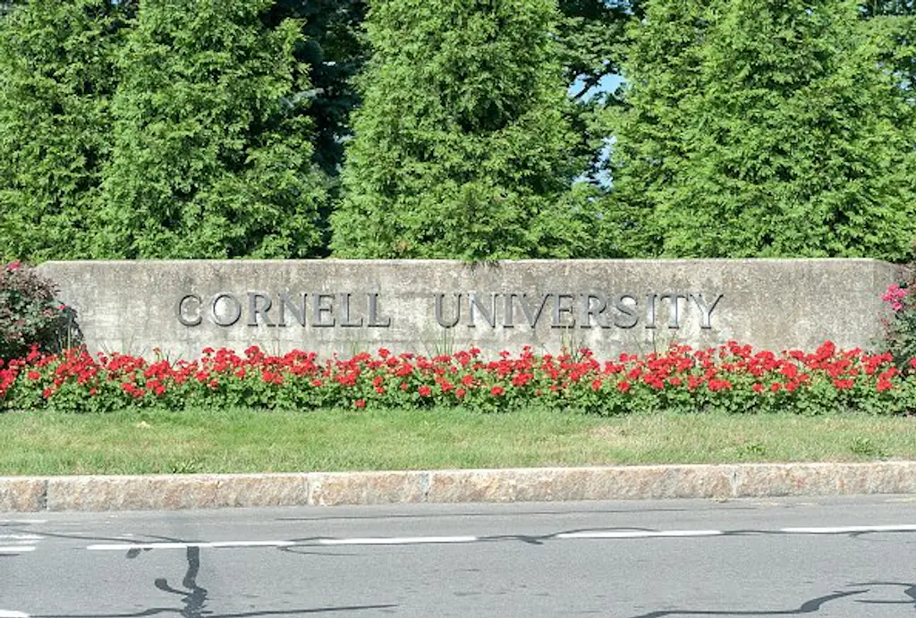 Cornell University. Credit: Yeming Chen/Getty Images